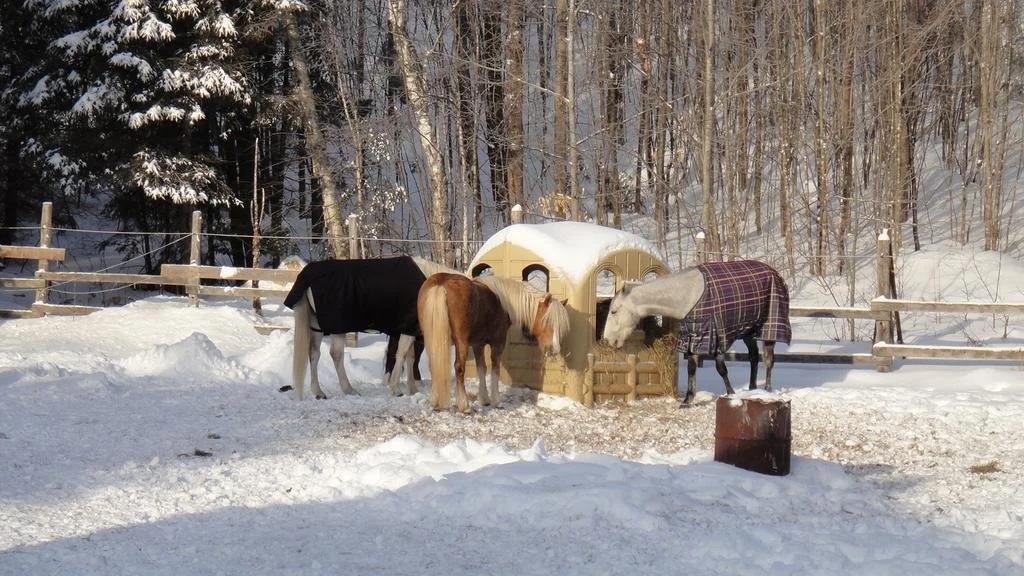 Auberge le Cheval Bleu