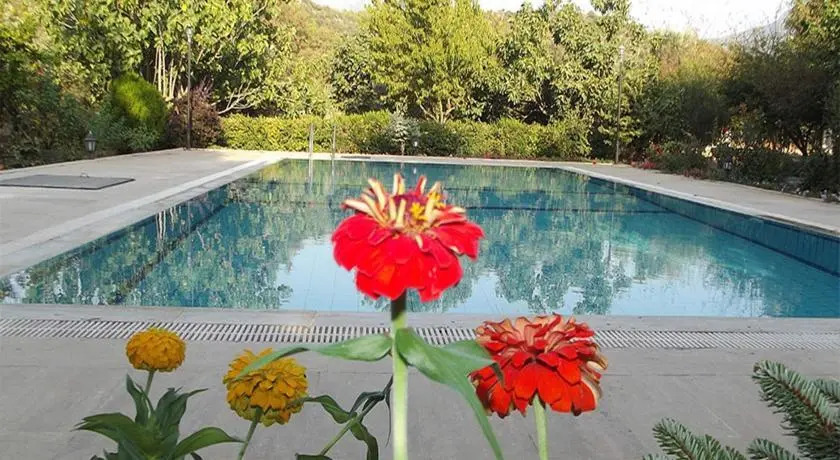 Villa Dilek Kayakoy