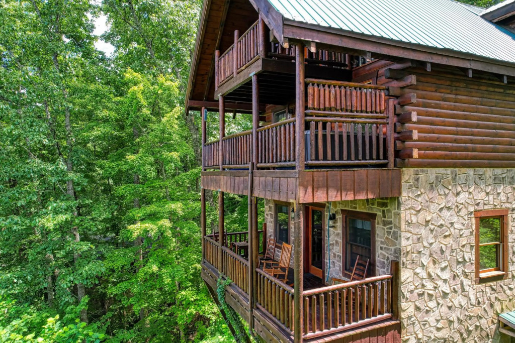 Tree Tops