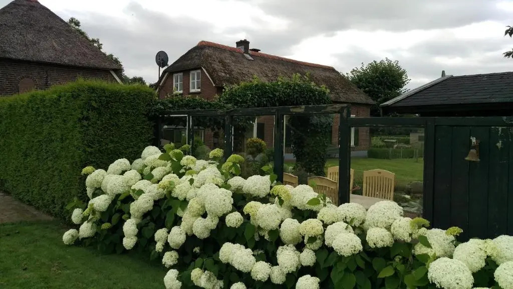 Vakantiehuis ''De Bolle''