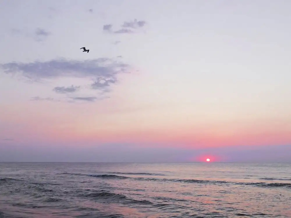 Beach House Dune 19 - Joy