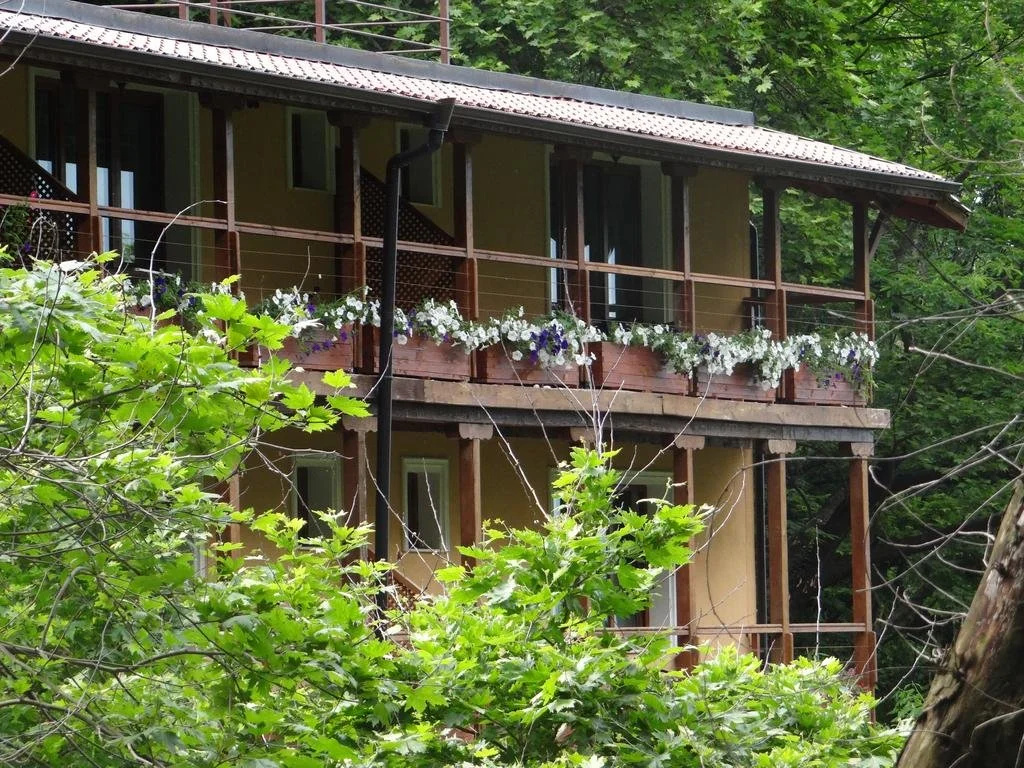 Hotel Saint Nedelya