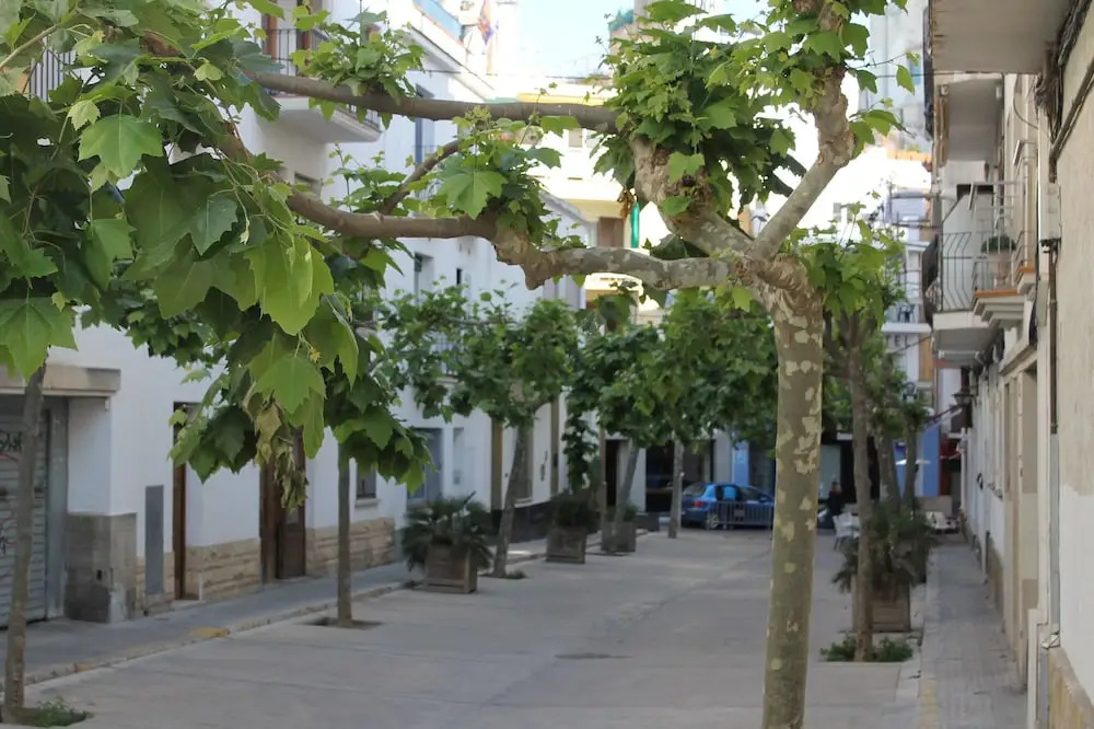 Sitges Apartment For Rent 2