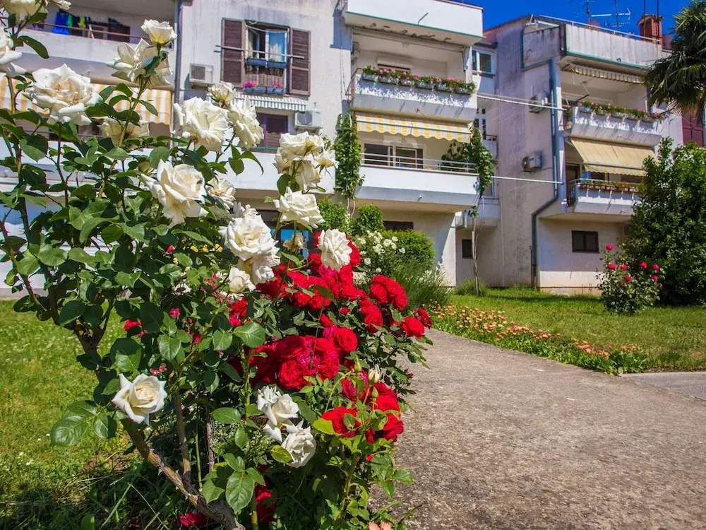 Beautiful Apartment in Prime Location