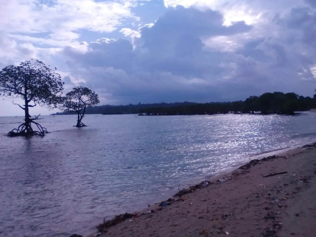 Coconhuts Beach Resort