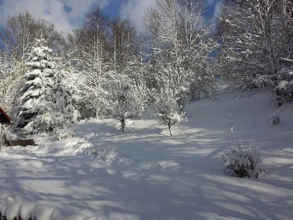 Holiday Home Rudnik Near Ski Lift