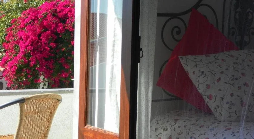 Lemon Tree Hostel