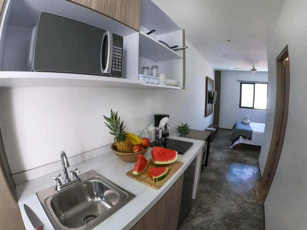 Queen Studio PDC Oasis Pool Rooftop Lounge Walk to 5 Avenida Best Playa Beaches