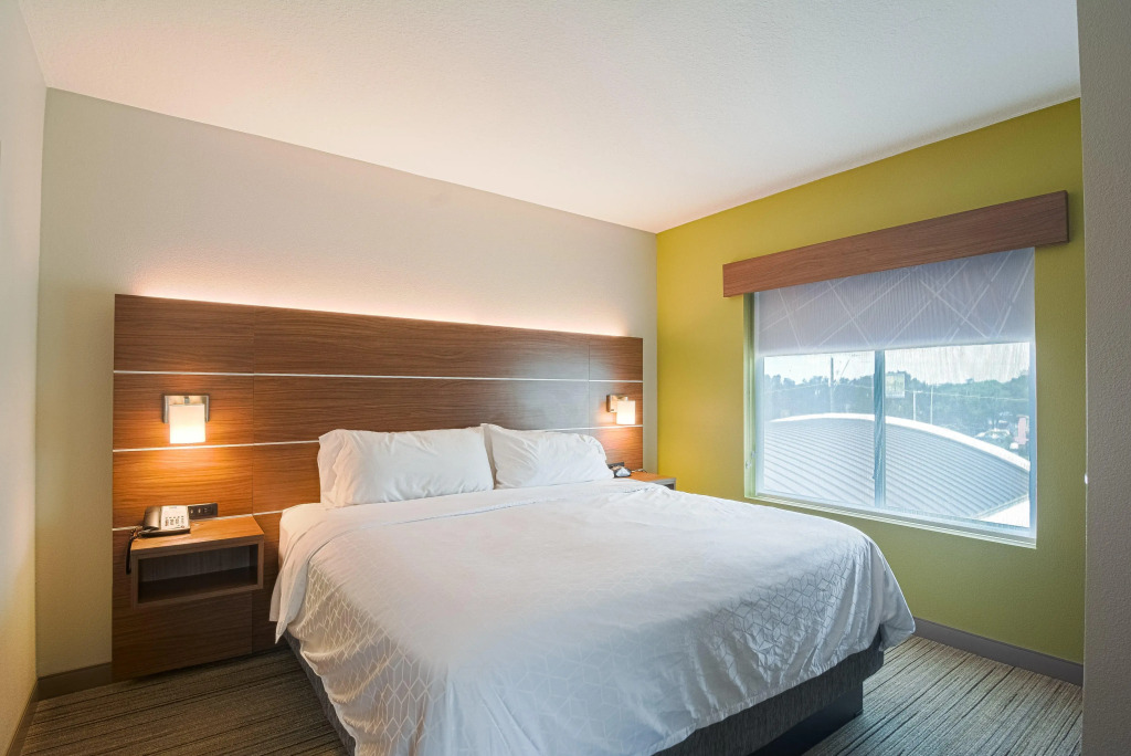 Holiday Inn Express Hotel & Suites Tampa-USF-Busch Gardens by IHG