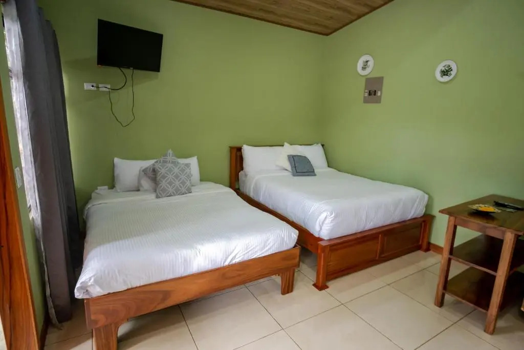 Casas Clusia
