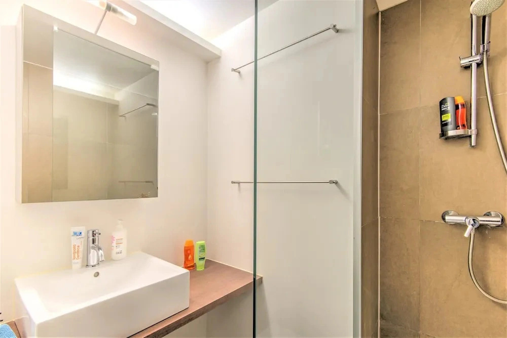 Antwerp Central Apartment for 7