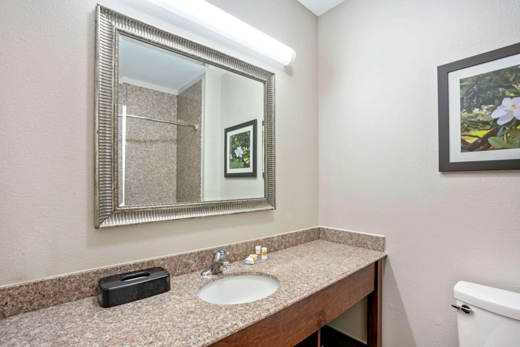 La Quinta by Wyndham Houston - Magnolia