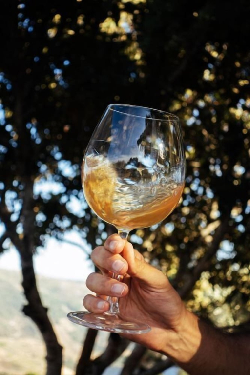 Quinta Vila Rachel - Winery
