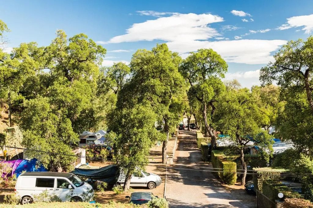 Camping Des Mimosas