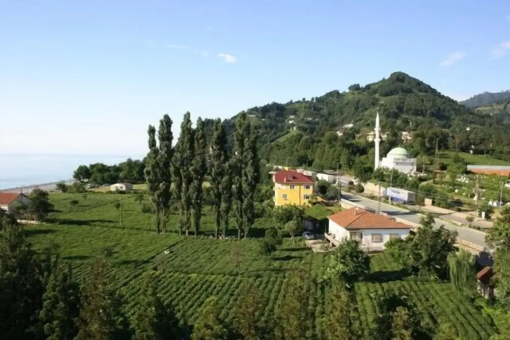Гостиница Сарп