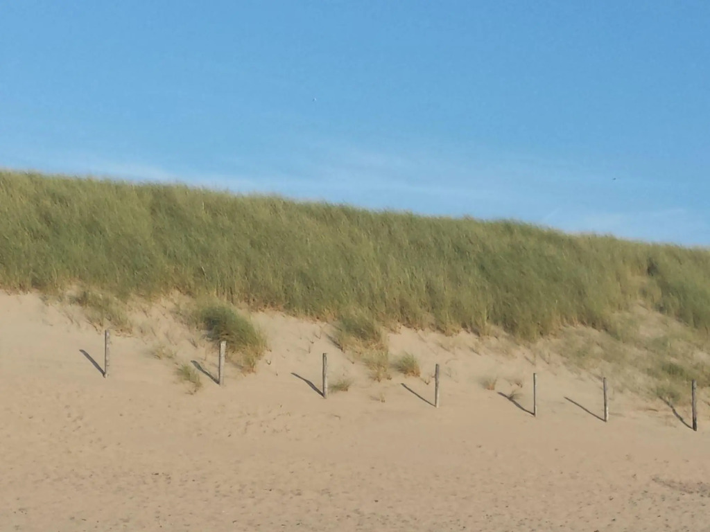 Bright Holiday Home in Noordwijk near Sea