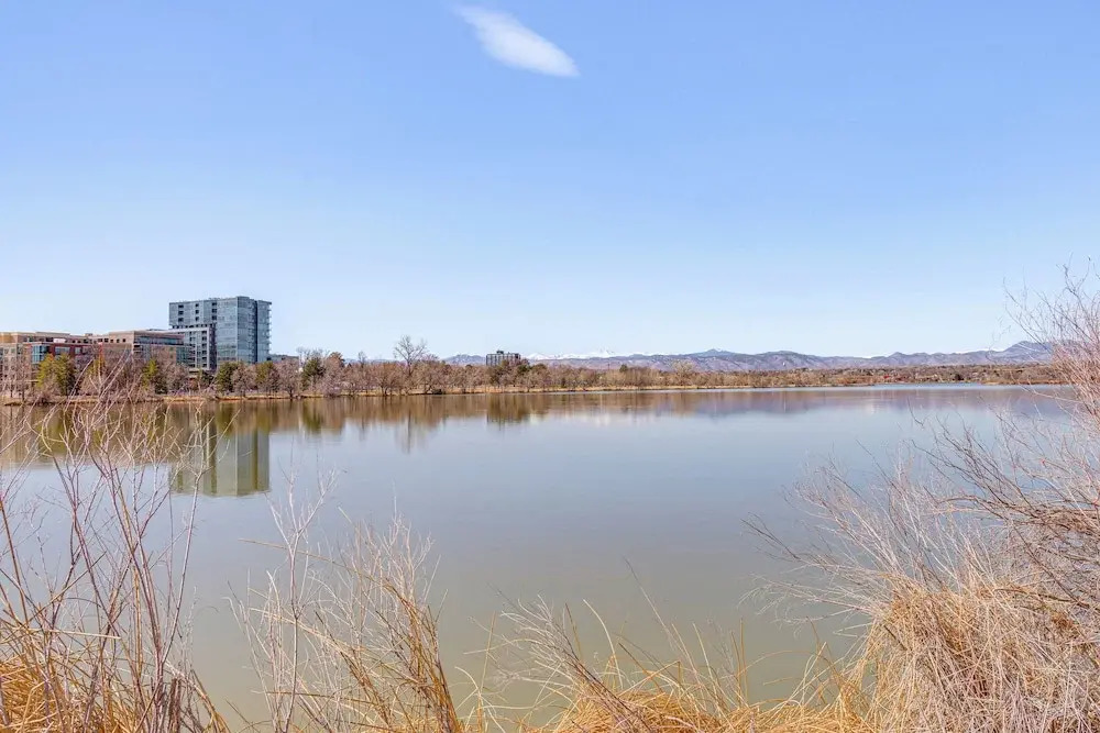 Luxe Designer Flat on Sloans Lake w/ Rooftop Deck