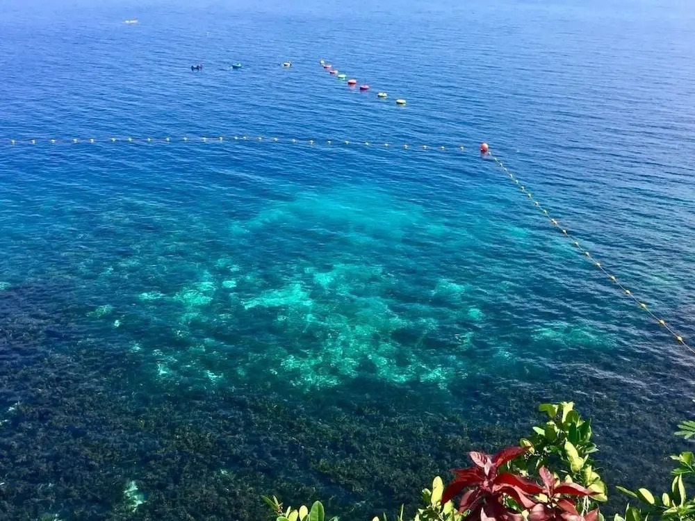 Almira Diving Resort- Panglao