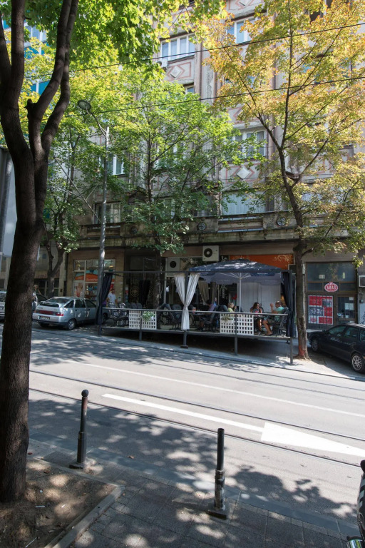Central Belgrade Apartment 2