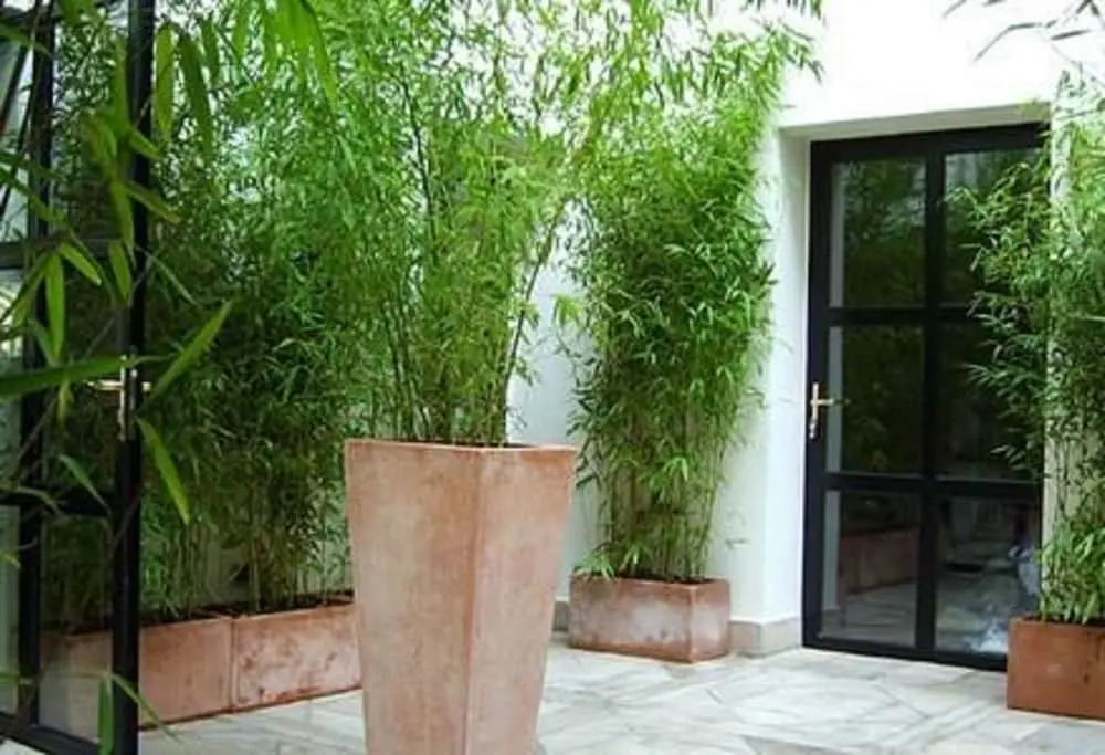 Hôtel Tingis