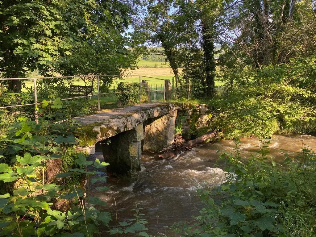 Domaine en Reynouse