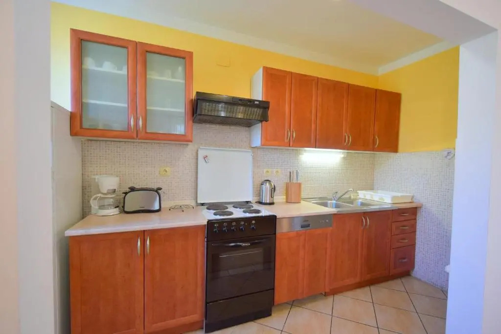 Apartment Anica