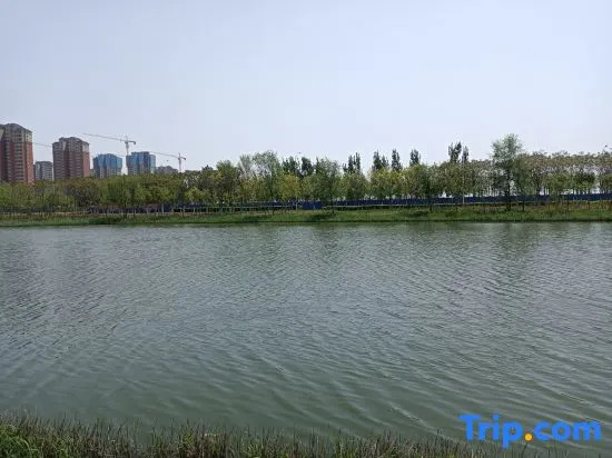 Tianjin Redwood Tree Hotel Apartment (Tuanbo Resort University of Traditional Chinese Medicine)
