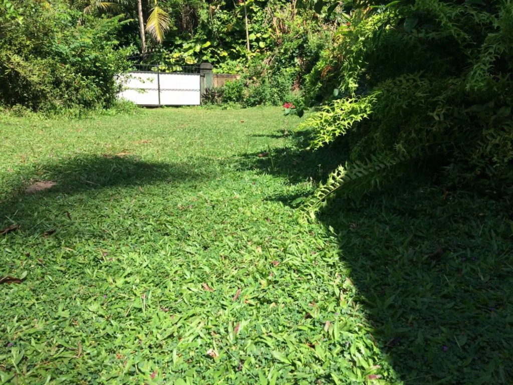 Weeragiri home stay
