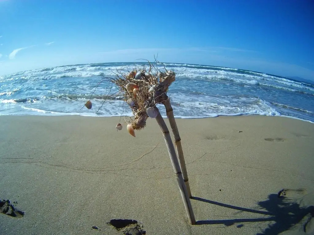 Near The Sea