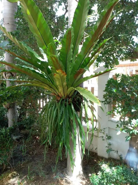 Baan Chockchai 3