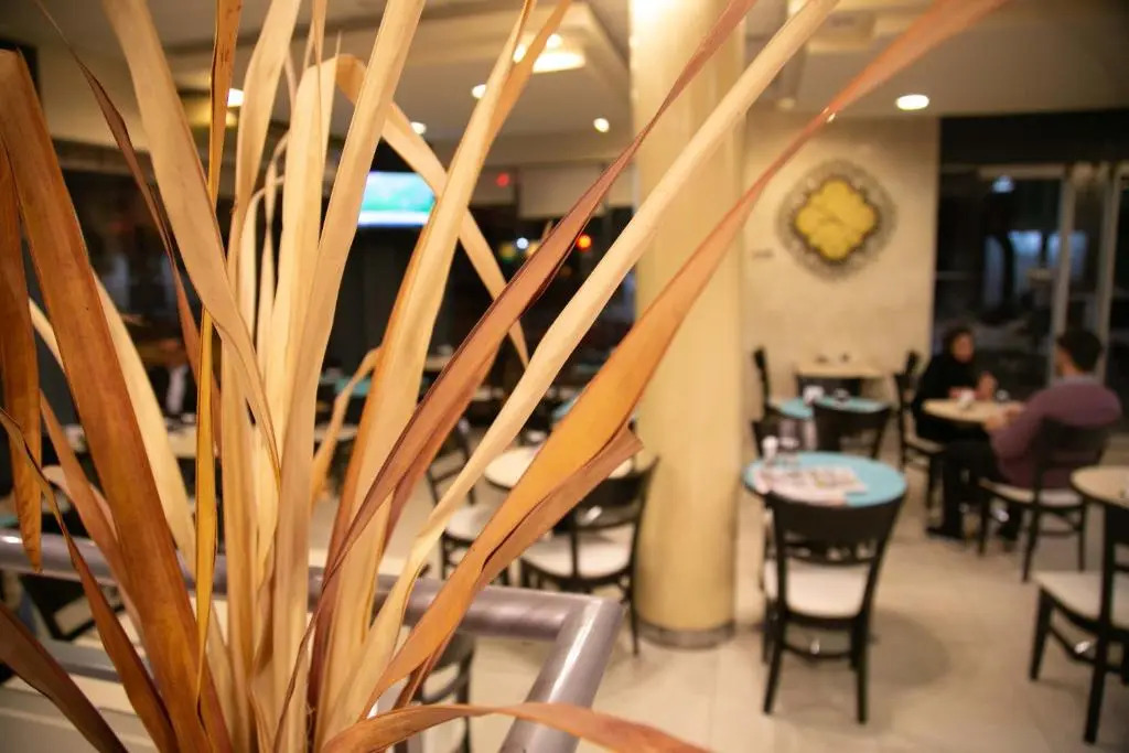 Hotel Ciudad