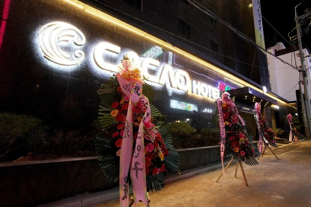 Hotel Cacao
