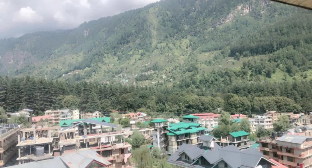 Hotel Hadimba Palace Manali