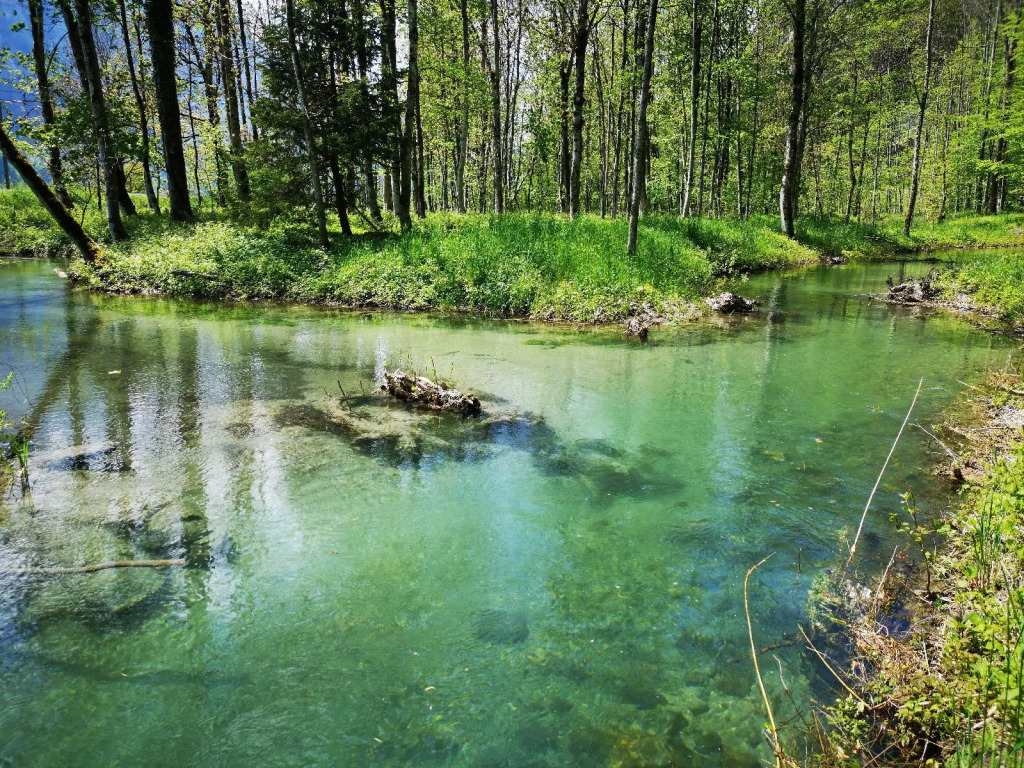 Parkhotel du Sauvage