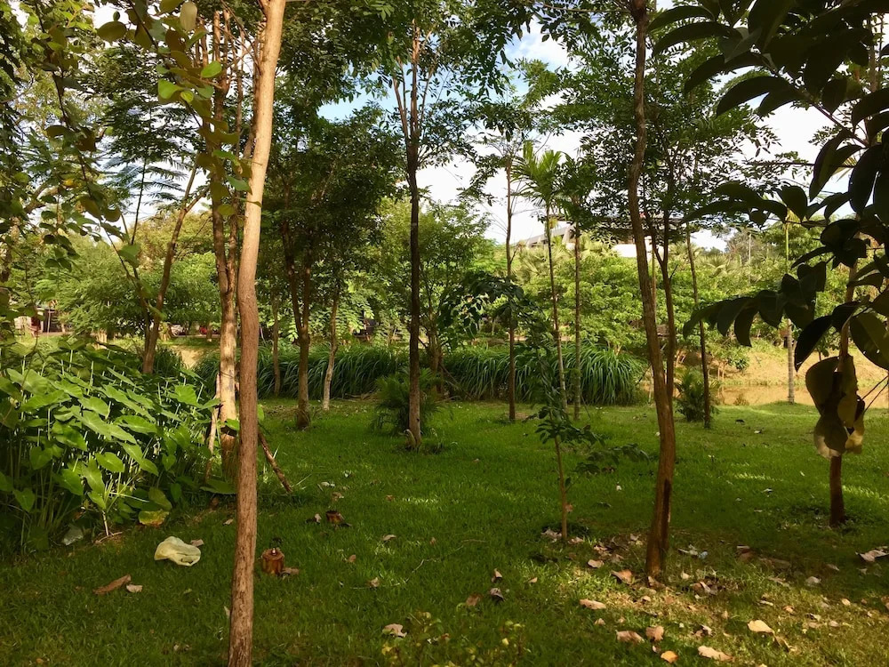 River Retreat Boutique Hotel