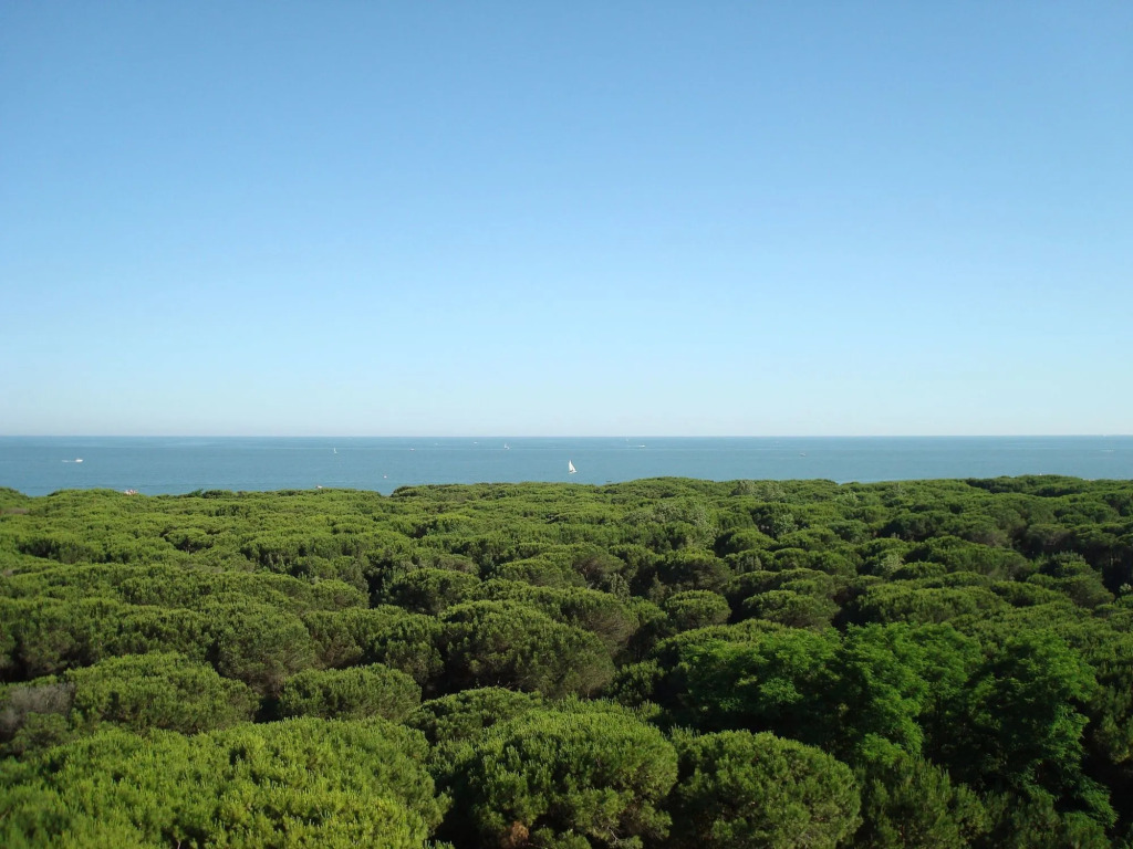 MarePineta Resort