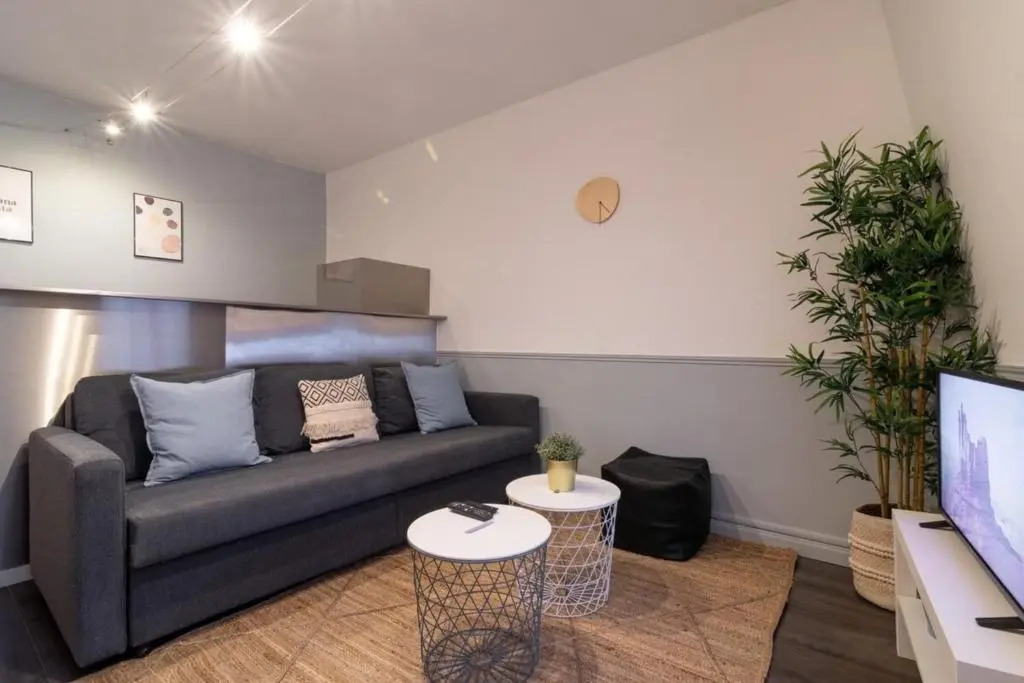 Tourcoing - Superb apartment 3pers