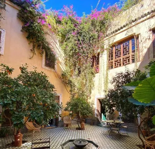 Riad KHOL Bohémia