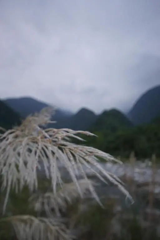 SongYue Homestay
