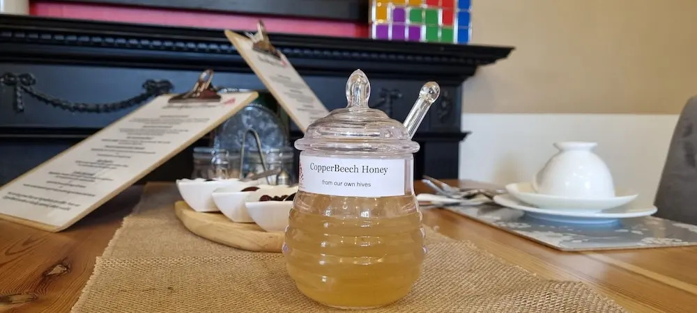 CopperBeech Bed and Breakfast