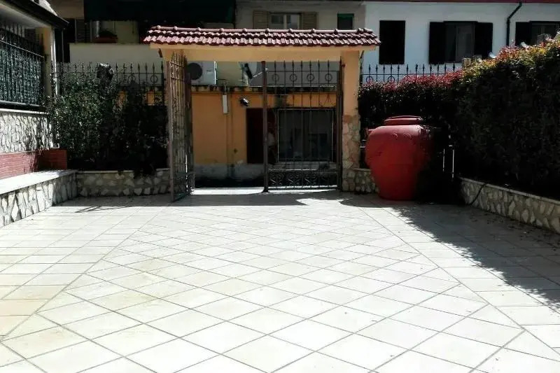 Corsonove