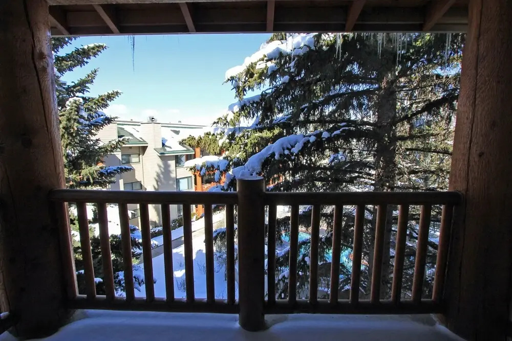 Snow Flower 072 1 Bedroom Condo by RedAwning