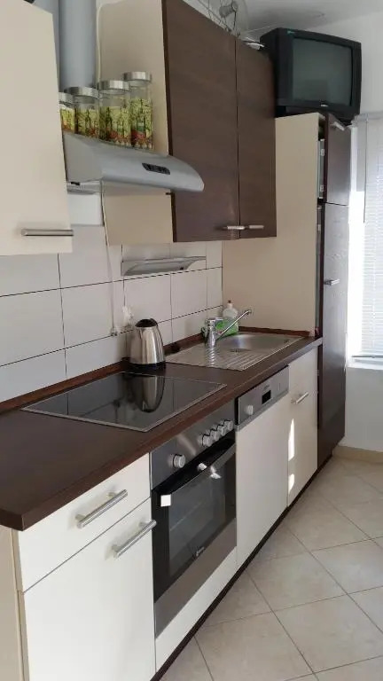 Apartment Sajković