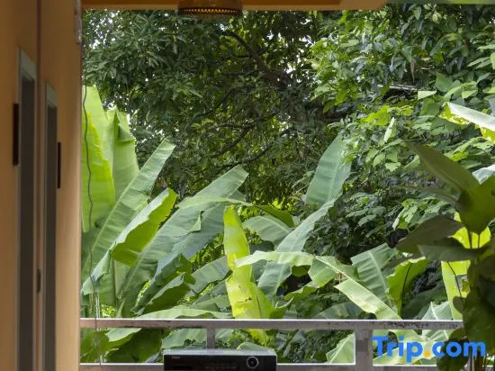 Jingmaishan Gukang Mingye Homestay