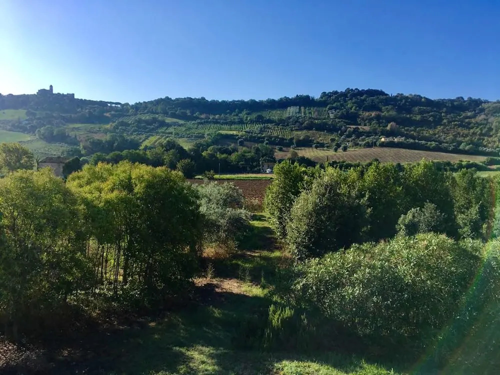 House With 2 Bedrooms in Campofilone, With Furnished Garden - 3 km Fro