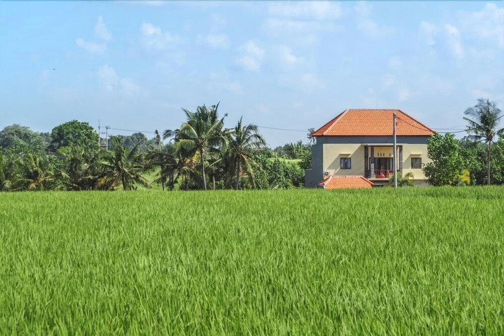 Canggu Beach Hostel