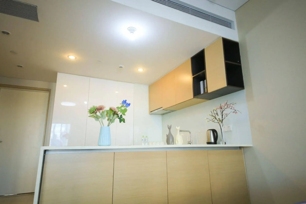 Le Jia Xuan Yuexi Apt HK Central Rd Mixc