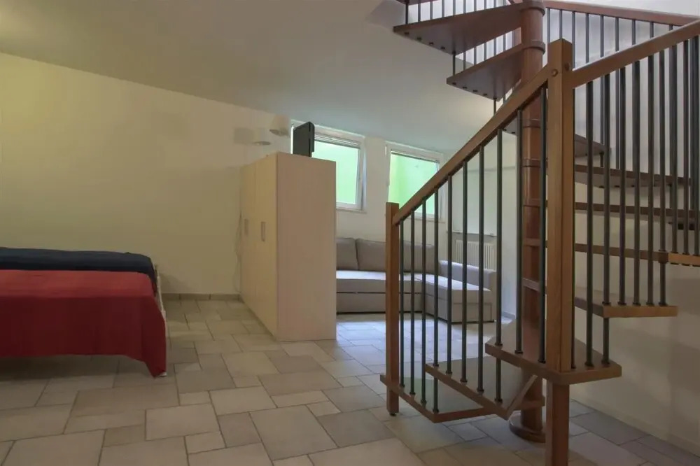 Benacus - Italian Homing