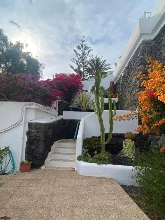 Bella vista 2