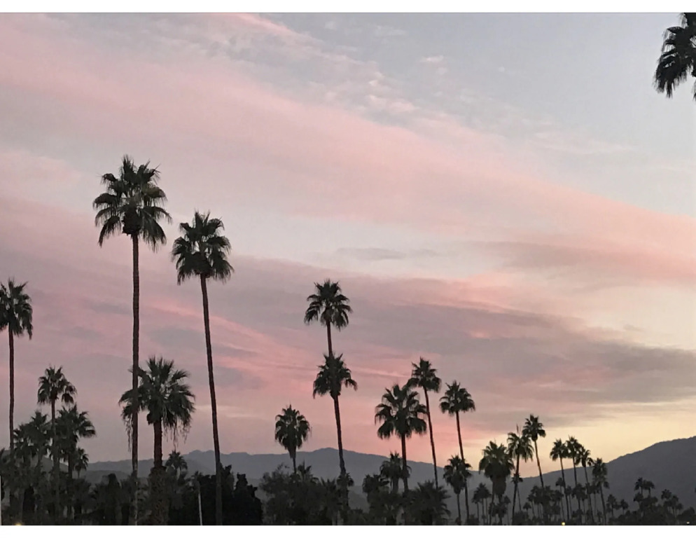 Delos Reyes Palm Springs